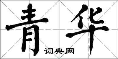 翁闓運青華楷書怎么寫