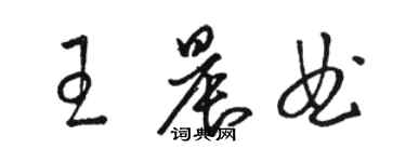 駱恆光王晨曲草書個性簽名怎么寫