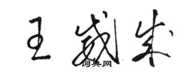 駱恆光王威成草書個性簽名怎么寫