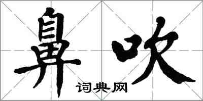 翁闓運鼻吹楷書怎么寫