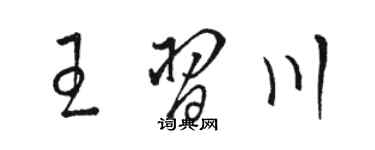 駱恆光王習川草書個性簽名怎么寫