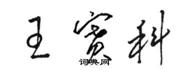 駱恆光王賽科草書個性簽名怎么寫