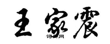 胡問遂王家震行書個性簽名怎么寫