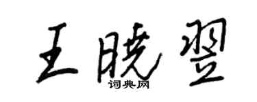 王正良王曉翌行書個性簽名怎么寫