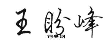 駱恆光王盼峰行書個性簽名怎么寫