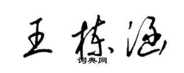 梁錦英王棟涵草書個性簽名怎么寫