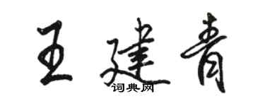駱恆光王建青行書個性簽名怎么寫