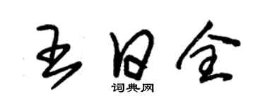 朱錫榮王日全草書個性簽名怎么寫