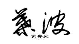 朱錫榮葉波草書個性簽名怎么寫