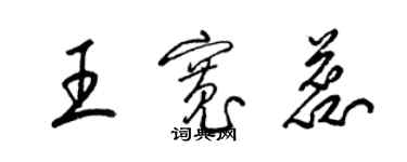 梁錦英王寬蕊草書個性簽名怎么寫