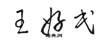 駱恆光王好民草書個性簽名怎么寫