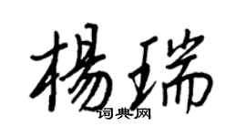 王正良楊瑞行書個性簽名怎么寫
