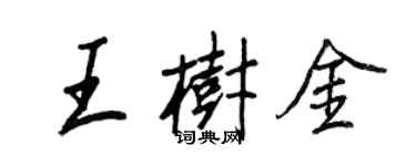 王正良王樹金行書個性簽名怎么寫