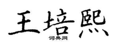 丁謙王培熙楷書個性簽名怎么寫