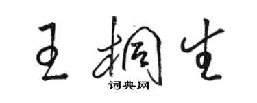 駱恆光王桐生草書個性簽名怎么寫