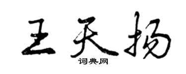 曾慶福王天揚行書個性簽名怎么寫