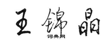 駱恆光王錦晶行書個性簽名怎么寫