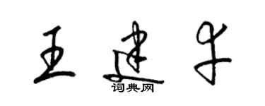 梁錦英王建幸草書個性簽名怎么寫