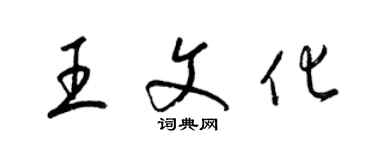 梁錦英王文化草書個性簽名怎么寫