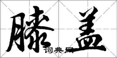 胡問遂膝蓋行書怎么寫