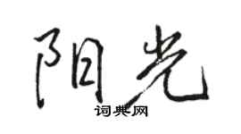 駱恆光陽光行書個性簽名怎么寫