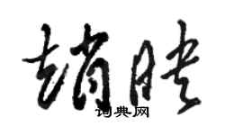 駱恆光趙映草書個性簽名怎么寫