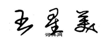 朱錫榮王星美草書個性簽名怎么寫