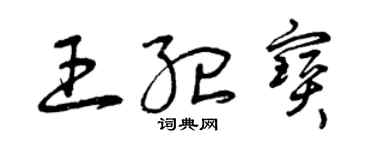 曾慶福王紀寶草書個性簽名怎么寫