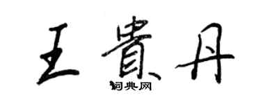 王正良王貴丹行書個性簽名怎么寫