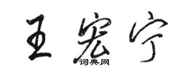 駱恆光王宏寧行書個性簽名怎么寫