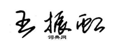 朱錫榮王振虹草書個性簽名怎么寫