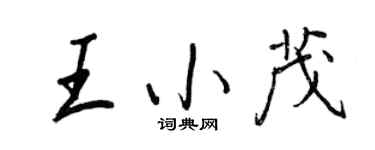 王正良王小茂行書個性簽名怎么寫
