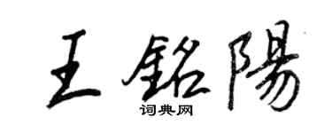 王正良王銘陽行書個性簽名怎么寫