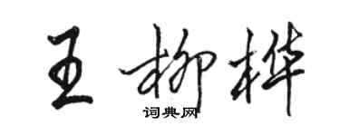 駱恆光王柳樺行書個性簽名怎么寫