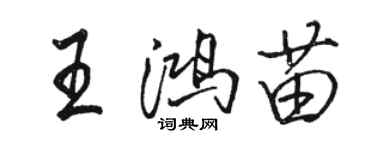 駱恆光王鴻苗行書個性簽名怎么寫