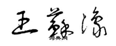 曾慶福王蘇豫草書個性簽名怎么寫