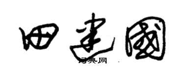 朱錫榮田建國草書個性簽名怎么寫