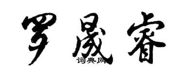 胡問遂羅晟睿行書個性簽名怎么寫