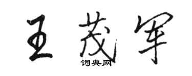 駱恆光王茂軍行書個性簽名怎么寫
