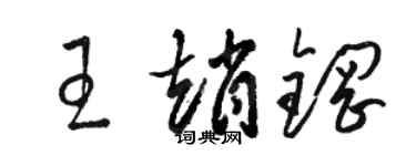 駱恆光王趙鋼草書個性簽名怎么寫