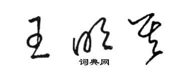 駱恆光王明其草書個性簽名怎么寫