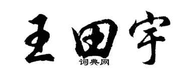 胡問遂王田宇行書個性簽名怎么寫