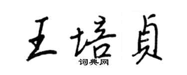 王正良王培貞行書個性簽名怎么寫