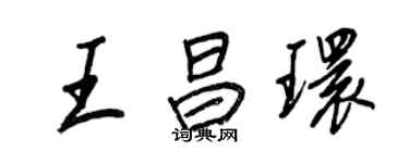 王正良王昌環行書個性簽名怎么寫