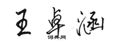 駱恆光王卓涵行書個性簽名怎么寫