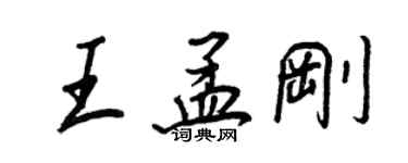 王正良王孟剛行書個性簽名怎么寫