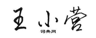 駱恆光王小營行書個性簽名怎么寫