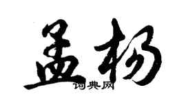 胡問遂孟楊行書個性簽名怎么寫