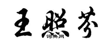 胡問遂王照芬行書個性簽名怎么寫