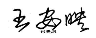 朱錫榮王安映草書個性簽名怎么寫